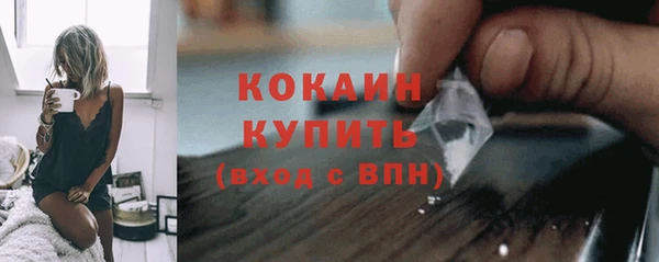 сатива Волосово