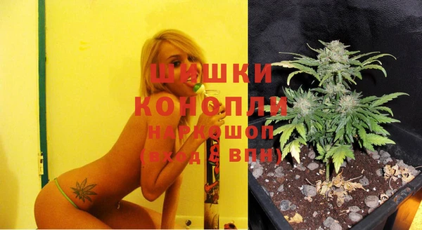сатива Волосово