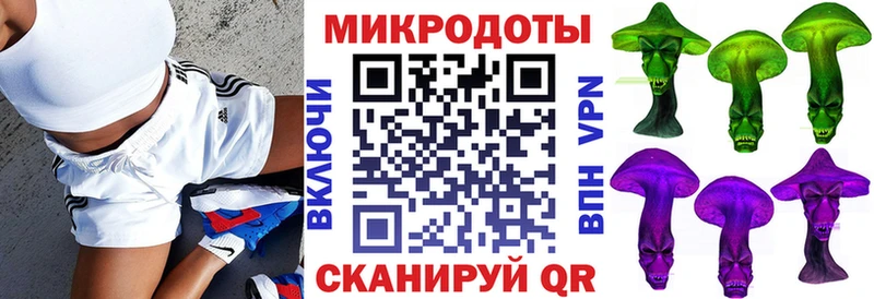 Галлюциногенные грибы Psilocybine cubensis  Каргат 